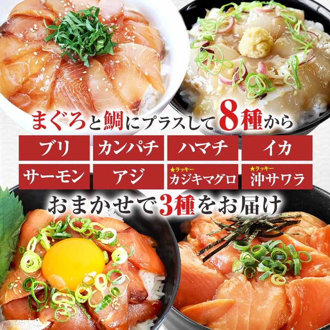 これが魚屋の漬け丼だ！魚屋のおまかせ5種漬け丼セット(マグロ＋鯛＋おまかせ3種) 5種×4P 合計20パック 各80g 鮪 鯛 詰め合わせ 漬け丼 漬け どんぶり 丼 20パック 海鮮 魚 真空パック 個食 個包装 冷凍