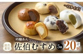 ひとくちまんじゅう 佐伯むすめ (計20個・5種×4個) 饅頭 饅頭 ひとくち 一口 薄皮 みそ 黒糖 抹茶 チーズ スイーツ お菓子 おやつ 焼き菓子 和菓子 詰め合わせ 個装 常温 大分県 佐伯市【AG95】【 (株)お菓子のウメダ】