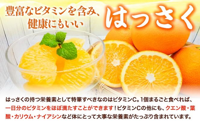 八朔 約10kg ｍ＆ｎ果実園《2027年1月下旬-3月中旬頃出荷》和歌山県 紀の川市 果物 フルーツ はっさく 柑橘類 送料無料---wsk_mnk1_h13_23_13000_10kg---