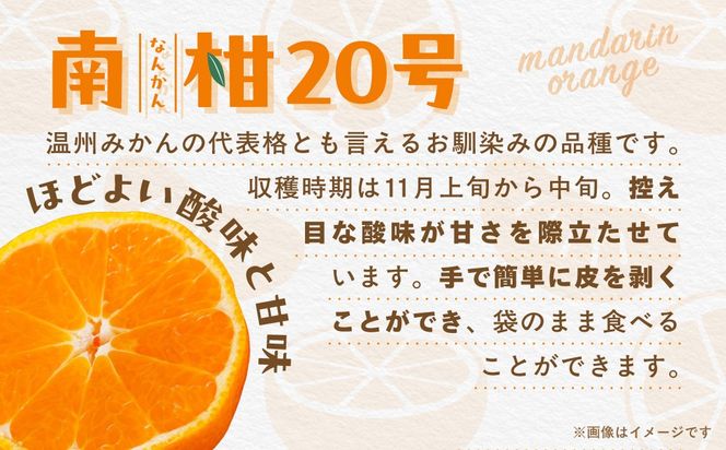 【先行受付】【数量限定】南柑20号（生果）5kg（2026年12月上旬頃より順次発送）IKTQ006