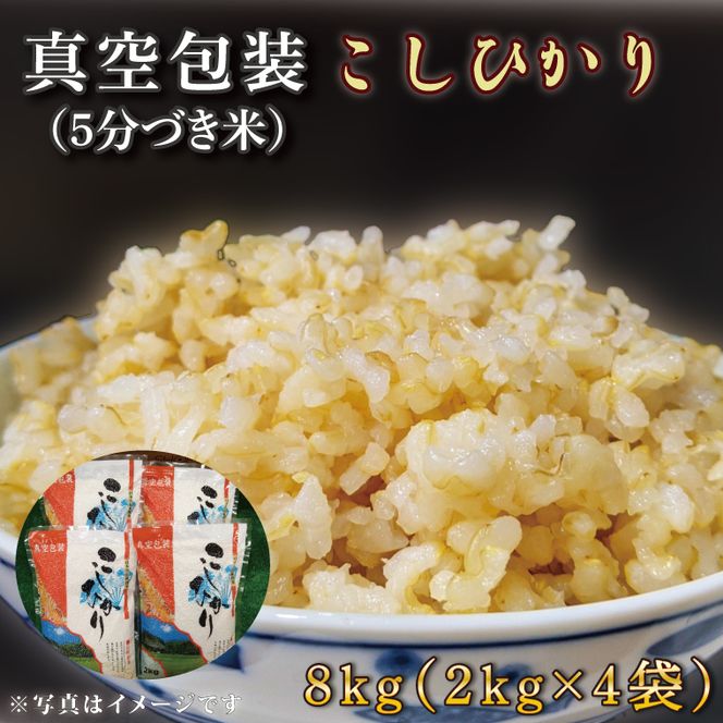 ★真空包装★R7年産こしひかり 8kg(2kg×4袋)【5分づき】｜米 こめ お米 コシヒカリ こしひかり 真空 真空包装 5分づき 人気 個包装 茨城県 行方市 送料無料(CZ-10-2)