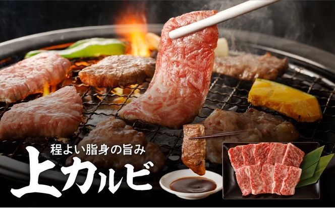 【7営業日以内に発送】【鹿児島黒毛和牛A4～A5】焼肉上セット(上カルビ/上ロース)　K189-008