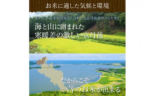 【ふるプレ限定品】【特別寄附額】令和8年産 美白精米 丹後こしひかり 3kg 1等米　MU00094P
