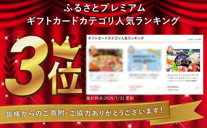 あとからセレクト【ふるさとギフト】１万円～１００万円 コーヒー あんこ ヘアケア シャンプー 天然水 炭酸水 ふとん 布団 餃子 ふじやまビール シャインマスカット 桃 シチズン ジュエリー ウォーターサーバー 山梨 富士吉田