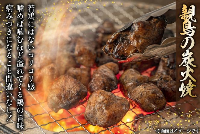 鶏 炭火焼き 柚子こしょう味 100g 6袋 計600g [カンショク 宮崎県 日向市 452061465] 炭火焼 鶏肉 親鳥 柚子こしょう ゆずこしょう 柚子胡椒