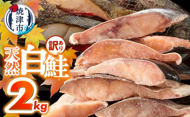 a15-714　訳あり！ 天然 白鮭 甘口 切身 約2kg 便利なジッパーバック入り