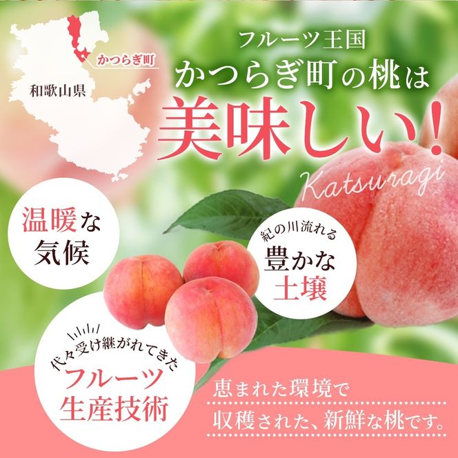 【先行予約】【極上秀品】あふれる果汁で口いっぱい！ 和歌山県産 桃 2kg（6個~8個） / 和歌山 桃 モモ フルーツ もも 白桃 果物 くだもの ※2027年6月末頃～8月末頃順次発送予定（お届け日指定不可） ※離島への配送不可 【kgr501-p-2】