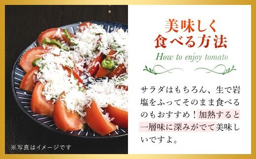 【先行予約/10月中旬発送開始】松村さんちのトマト1箱（20～24個・約4kg）SMAE002 / トマト とまと 野菜 夏野菜 先行予約 千葉県 山武市