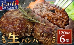 石垣島産 黒毛和牛 生ハンバーグ 120g x 6個 【沖縄 石垣 石垣島産 黒毛和牛 和牛 ハンバーグ】 UN-1