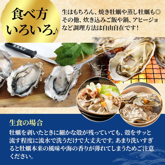 北海道 厚岸産 生食用 殻付カキ LLサイズ 10個 マルえもん 牡蠣 魚貝類 生牡蠣 かき