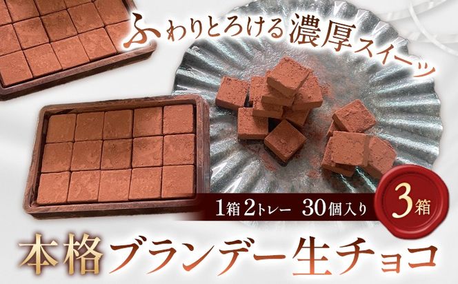 生チョコ 本格ブランデー生チョコ 3箱 1箱30個入り 株式会社たにぐち《2月上旬-2月中旬頃出荷》和歌山県 日高川町 スイーツ デザート チョコレート 生チョコレート お菓子 チョコ 送料無料 ブランデー---wshg_ctng7_2j2c_24_13000_6t---