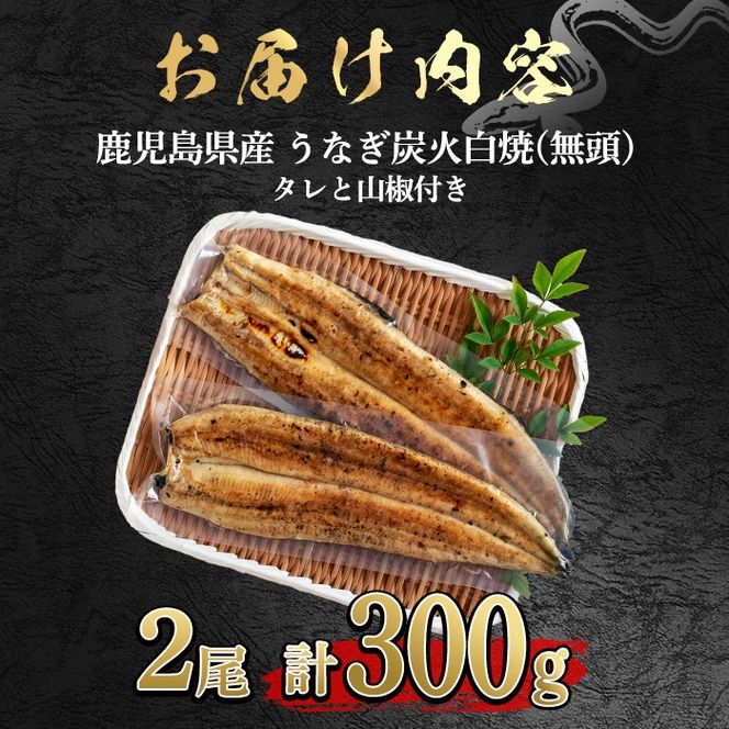 【0174320a】東串良町のうなぎ炭火白焼(無頭)(2尾・計約300g・タレ、山椒付) うなぎ 高級 ウナギ 鰻 国産 白焼き 鹿児島 ふるさと 人気【アクアおおすみ】
