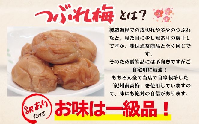 訳あり 紀州南高梅 ＜つぶれ梅＞かつお【ハチミツ入】塩分10%（750g）なかやまさんちの梅干 うめ ウメ 梅干し【nky013-275k】