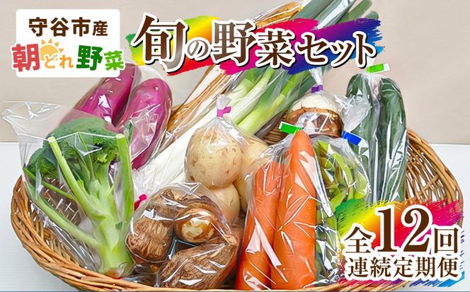 【定期便 12回】【毎月お届け】守谷市産 旬の野菜セット | 野菜 やさい 野菜セット 旬 国産 茨城県産 セット 詰め合わせ 定期 定期配送 冷蔵