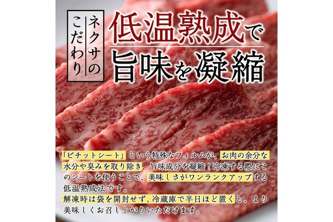 おおいた和牛 大トロカルビ焼肉 (200g) 国産 牛肉 肉 霜降り 低温熟成 A4 和牛 ブランド牛 BBQ 冷凍 大分県 佐伯市【DH220】【(株)ネクサ】