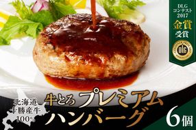 とろける旨味。牛とろプレミアムハンバーグ 150g×6_S006-0186
