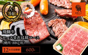 AJ-18 【12か月定期便】【飛騨牛】ロースまたは肩ロース600g (焼肉・BBQ用)