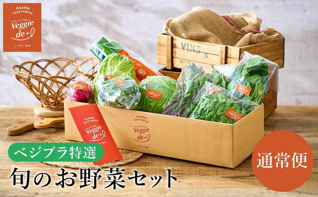 旬のお野菜を新鮮な状態でお届け!ベジプラ特選 旬の野菜セット / 野菜 詰め合わせ セット 野菜セット 新鮮 ギフト やさい 産地直送 苦みが少ない 甘みが強い[野菜例:キャベツ 白菜 ミニトマト レタス とろり葱 ほうれん草 など ] [Veggie de +]