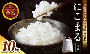 令和7年産 特別栽培米 にこまる 白米 5kg (5kg×2袋)精米 お米 こめ コメ ごはん ご飯 単一原料米