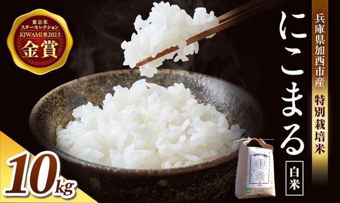 令和7年産 特別栽培米 にこまる 白米 5kg (5kg×2袋)精米 お米 こめ コメ ごはん ご飯 単一原料米