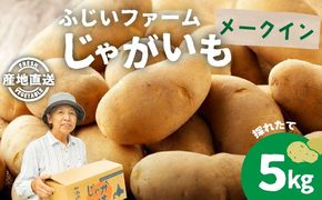 北海道産 じゃがいも メークイン 約5kg ジャガイモ 馬鈴薯 ポテト 芋 イモ 先行受付 産地直送 国産 野菜 農作物 甘い ホクホク しっとり 煮物 カレー 肉じゃが 人気 ふじいファーム  送料無料
