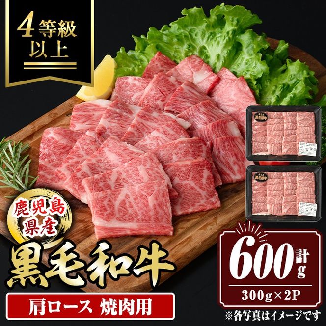 isa881 鹿児島県産黒毛和牛 肩ロース焼肉用(計600g・300g×2P) 4等級以上！ 国産 牛肉 霜降り 国産 牛肉 霜降り 家庭用 冷凍 【サンキョーミート】