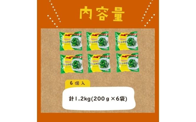 【志布志市制20周年記念】鹿児島県産 冷凍ブロッコリー(計1.2kg) p9-044