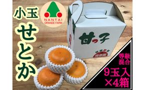 ［4箱セット］甘っ子 小玉 ハウス せとか 9玉入 × 4箱 手さげ箱 南泰園 BS174
