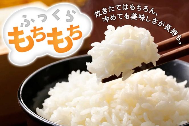 【令和８年産 新米予約】あきたこまち 精米 5kg 秋田県北秋田市産 白米 [米 こめ 令和８年 2026年 新米 秋田県 北秋田市 あきたこまち 白米 美味しい おいしい]|fjne-010501