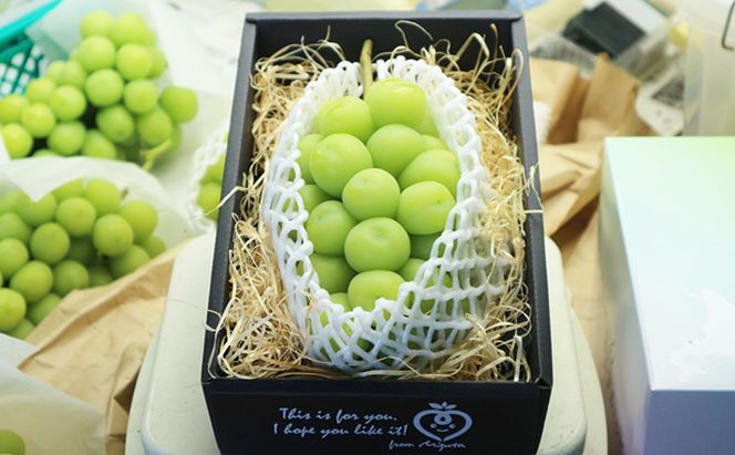 [先行受付] 北海道 仁木町産 シャインマスカット 500g以上 ブドウ 果実 果物類 ぶどう ブドウ 果物 くだもの フルーツ[水田農園]