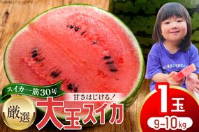 BJ698 【令和9年出荷分】 Farm honda 大玉スイカ 1玉 9kg〜10kg [ スイカ すいか 西瓜 大玉すいか 肥後浪漫 羅皇ザ・スイート 羅王 ラオウ らおう あまい 本多光則農園 長崎県 島原市]