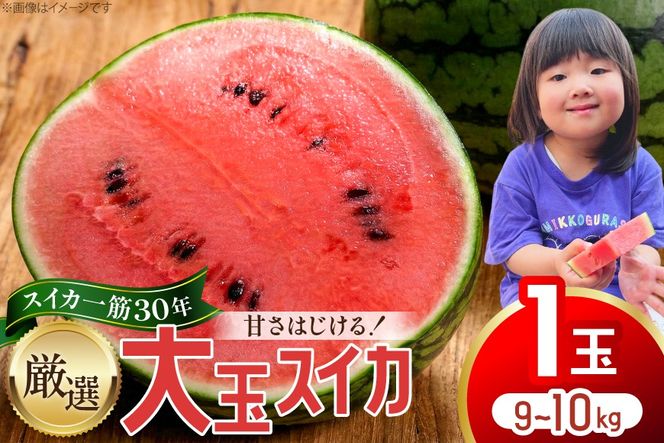 BJ698 【令和9年出荷分】 Farm honda 大玉スイカ 1玉 9kg〜10kg [ スイカ すいか 西瓜 大玉すいか 肥後浪漫 羅皇ザ・スイート 羅王 ラオウ らおう あまい 本多光則農園 長崎県 島原市]