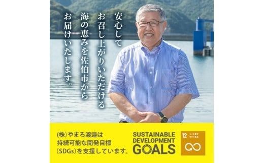 【期間限定・さば切り身2切付】＜訳あり＞ 干物大満足BOX(40尾以上・5-8種)セット 干物 みりん干し あじ アジ かます カマス ブリ ブリカマ さば いわし たい 鯵 鰤 鯖 鯛 丸干し 開き 魚 海鮮 冷凍 詰め合わせ 簡単調理【AQ68-G】【やまろ渡邉】