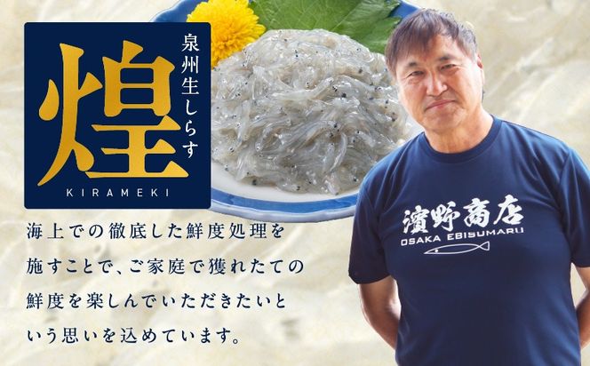 G4023 【スピード発送】新物！泉州生しらす「煌（きらめき）」300g【小分け 100g×3P 漁師直送 シラス 国産 無添加 産地直送 sirasu 海鮮 しらす 鰯 イワシ いわし】