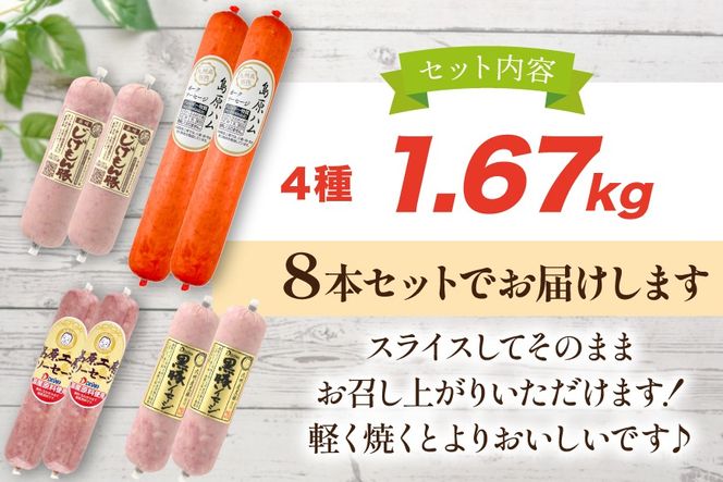 AJ276 総重量1.5kg超え！ 1.67kg ソーセージ 4種8本 食べ比べ セット [ ハム ボロニアソーセージ 大光食品 長崎県 島原市 ]