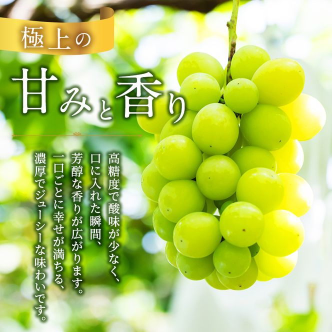 東かがわ市のちょこっと食卓応援品「訳ありシャインマスカット1房（約450g）」