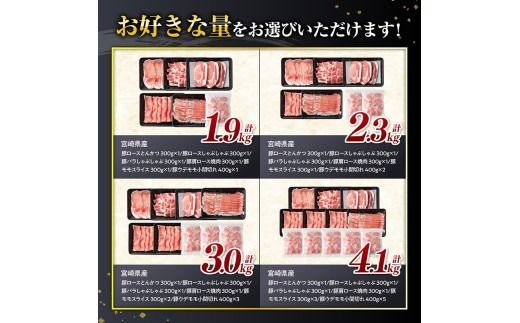 豚肉 ※発送時期・グラムが選べる※宮崎県産 豚肉 6種 1.9kg～4.1kg 【ミヤチク 国産 九州産 BBQ 豚 ぶた 肉 ロース バラ とんかつ 焼肉 おうちごはん おうち時間】ⅠⅡ [C00624 D00634 B00625 B00626]