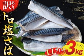 訳あり トロ塩サバ フィレ LLサイズ 3kg ★フィレ1枚230g超え！[足利本店 宮城県 気仙沼市 20565620] 魚介類 魚 海鮮 鮮魚 サバ さば 鯖 サバフィレ サバフィーレ 鯖フィレ トロサバ 訳アリ わけあり 切り身 冷凍