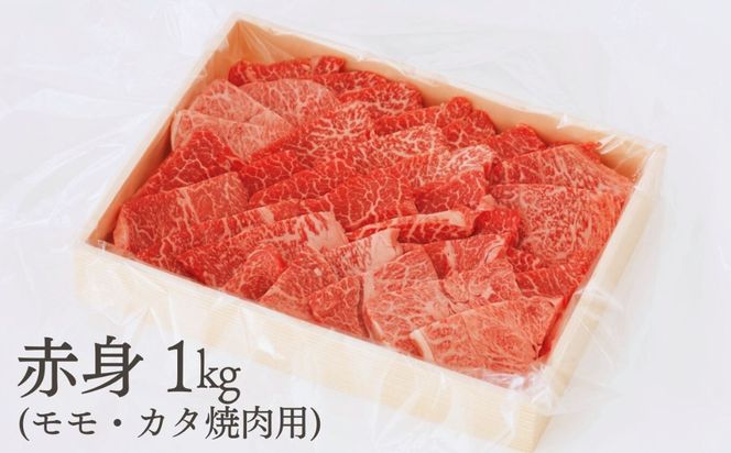 伊勢水沢牛（いせすいざわぎゅう） 焼肉用 1kg （赤身 モモ・カタ）/ 国産 牛肉 焼肉 ブランド牛 BBQ バーベキュー モモ カタ モモ肉 上質 冷凍 冷凍便 三重県産 黒毛和牛 牛 精肉 切り落とし 赤身 お取り寄せ ヘルシー ギフト 贈答 うまみ 最優秀賞 家庭用 自宅用 和牛 おすすめ 人気 三重県 四日市市 ふるさと納税