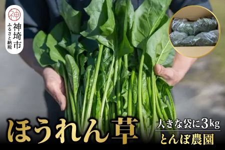 【先行受付 10月より順次発送】ほうれん草 3kg バラ詰め（大きな袋に3kg）【ハウス栽培 産地直送 クール便 佐賀県脊振山麓産】(H091118)