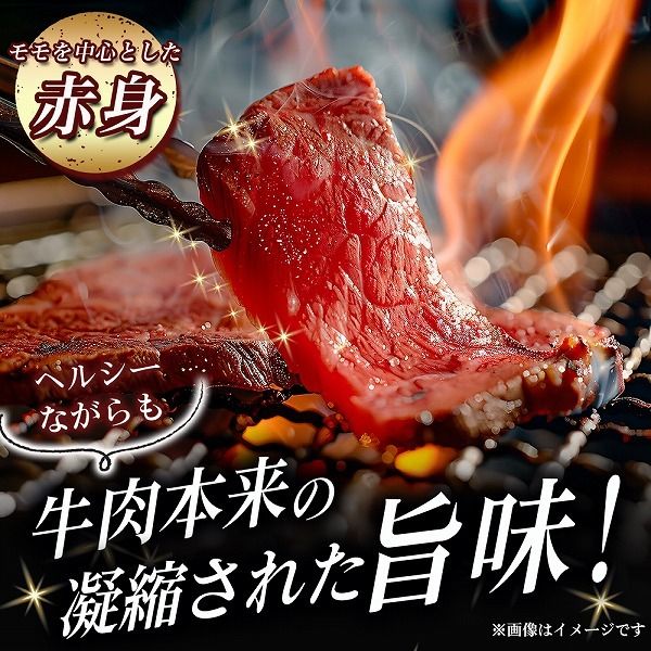 【A5等級】宮崎牛 特選焼肉セット 計1.2kg（赤身・霜降り） 宮崎牛 ブランド牛 和牛 牛肉 焼肉 特選和牛 霜降り A5 宮崎県 小林市