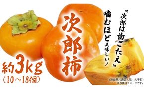 次郎柿 3kg 【2026年9月上旬発送開始】(茨城県共通返礼品：大子町) 柿 かき カキ 次郎柿 完全甘柿 秋の味覚 果物 フルーツ 旬