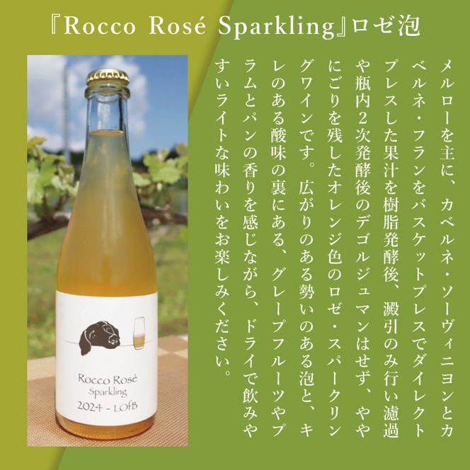 3種の2024ものハーフボトルセット～行方市内の自社畑ぶどう（2024年収穫）で醸造したワイン～｜ワイン  ボトルワイン 酒 お酒 酒類 赤ワイン スパークリングワイン ボトル ぶどう セット ワインセット 茨城県 行方市(GQ-8)