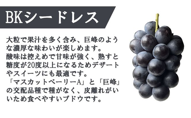《秀品以上》上級品をお得に　【BKシードレス】　1.0kg以上（3房）　【2026年発送分 先行予約】- FUJIKAWA GRAPES -