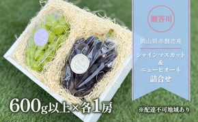 ぶどう 2026年 先行予約 贈答用 シャインマスカット ＆ ニューピオーネ 詰合せ 600g以上×各1房 ブドウ 葡萄 岡山県 赤磐市産 フルーツ 果物 ギフト 