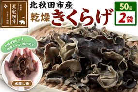 国産 乾燥きくらげ 100g 天日干し 秋田県北秋田市産 [きくらげ 木耳 キクラゲ 乾燥 手のひらサイズ 秋田県 北秋田市]|grmy-020201