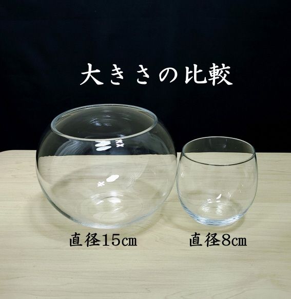 コケテラリウム制作キット直径15cm 動画説明付き〈コケ 苔 こけ 植物 初心者 インテリア 手作り セット キッド 雑貨 日用品〉 