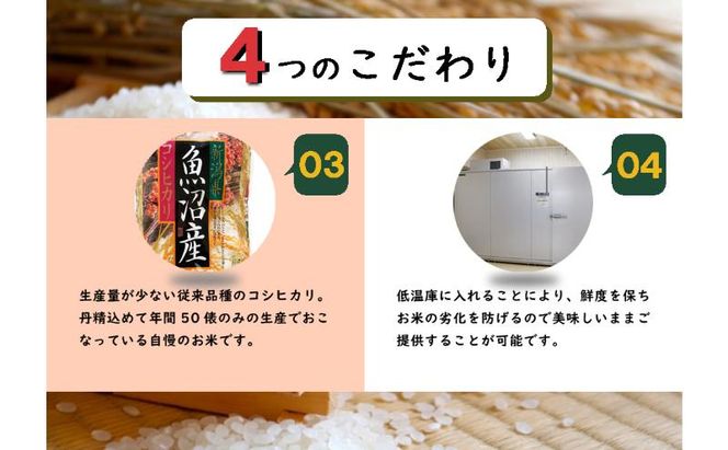 令和8年産　先行予約　【数量限定】 従来品種 魚沼産コシヒカリ 5kg×2 〈令和8年10月下旬～発送予定〉