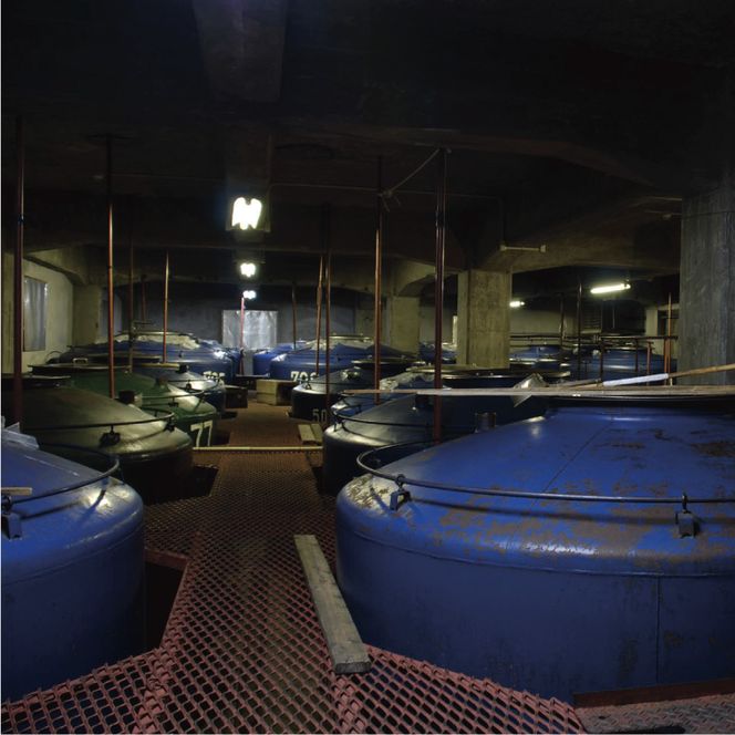 清酒リキュール「白桃酒」「マスカット酒」飲み比べ お酒 洋酒 