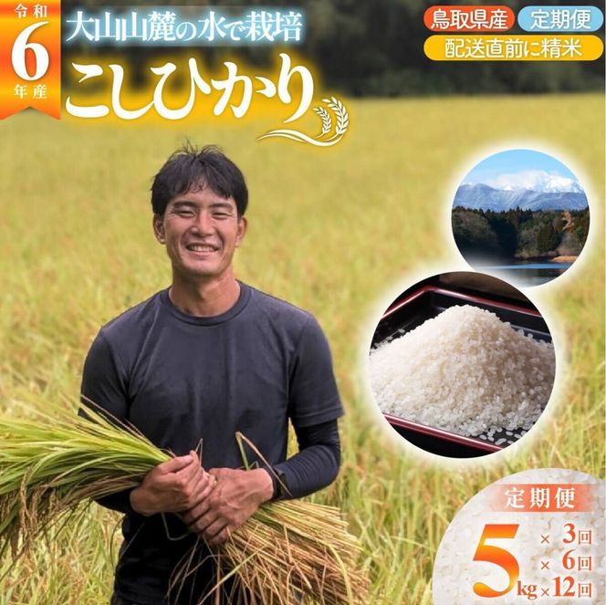 【3回定期便】令和6年産こしひかり（精米）　5kg×3回     離島不可（北海道、沖縄本島は配送可能） ※お申し込みから14日以内に発送